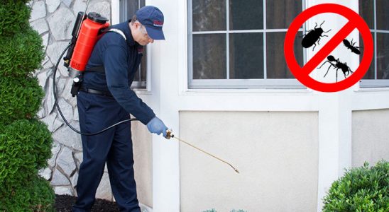 Kızılcahamam Böcek ve Haşere İlaçlama böcek ilaçlama ve haşere kontrolü — ilaclama-tr.com